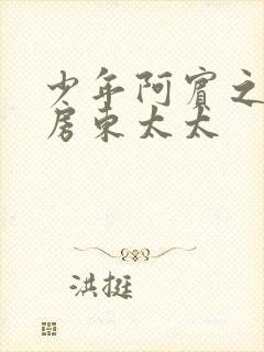 少年阿宾之美艳房东太太