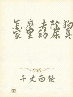 怎么去除狗狗在家里的尿臭味