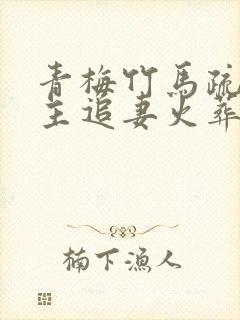 青梅竹马疏离男主追妻火葬场