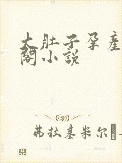 大肚子孕产笔趣阁小说