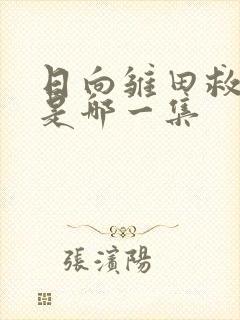 日向雏田救鸣人是哪一集