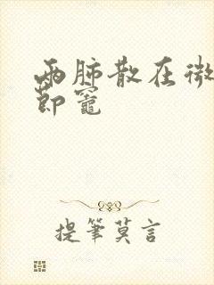 两肺散在微小结节灶