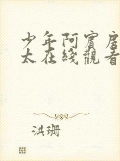 少年阿宾房东太太在线观看封面