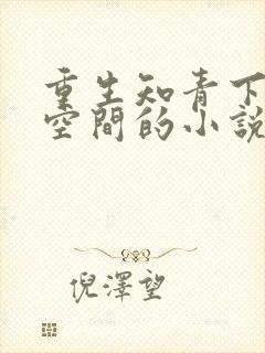 重生知青下乡有空间的小说