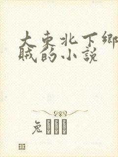 大东北下乡做曹贼的小说