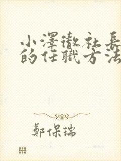 小泽彻社长秘书的任职方法封面