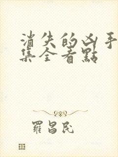 消失的凶手16集全看点封面