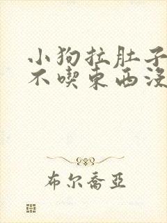 小狗拉肚子呕吐不吃东西没精神怎么办