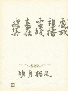 醒来电视剧40集在线播放免费