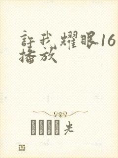 许我耀眼16集播放