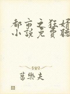 都市之狂婿战神小说免费听书