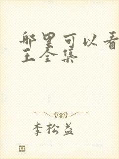 哪里可以看海贼王全集