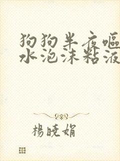 狗狗半夜呕吐黄水泡沫粘液