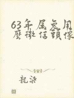 63年属兔用什么微信头像好