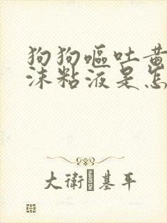 狗狗呕吐黄水泡沫粘液是怎么回事