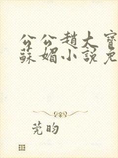 公公赵大宝儿媳苏媚小说免费阅读