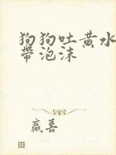 狗狗吐黄水粘稠带泡沫