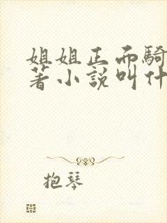 姐姐正面骑我原著小说叫什么