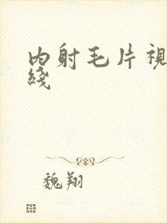 内射毛片视频在线