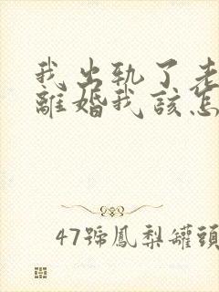 我出轨了老公要离婚我该怎么办封面