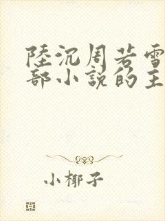 陆沉周若雪是哪部小说的主角