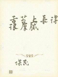 舌苔上长得白的很厚腻