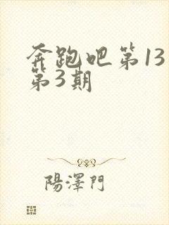 奔跑吧第13季第3期