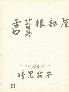 舌苔根部厚黄有口臭