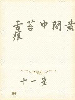 舌苔中间黄有齿痕