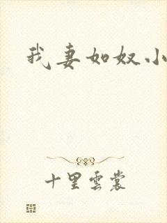 我妻如奴小说