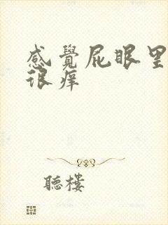 感觉屁眼里有虫很痒封面