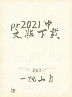 pr2021中文版下载封面