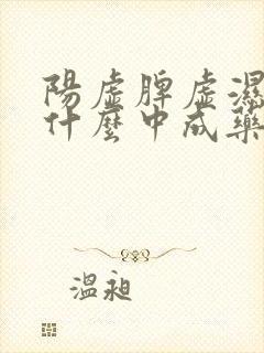 阳虚脾虚湿盛吃什么中成药封面