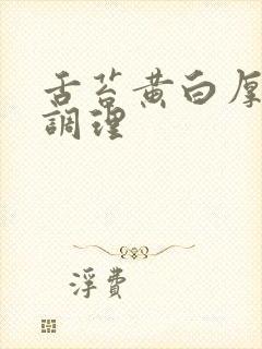 舌苔黄白厚怎么调理