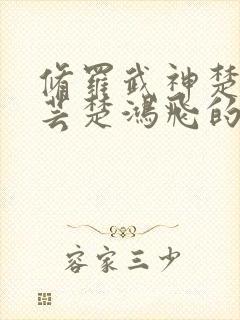 修罗武神楚风楚芸楚鸿飞的小说