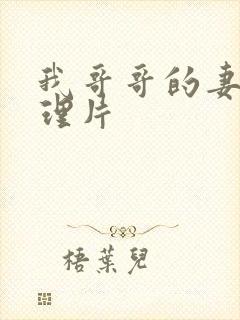 我哥哥的妻子伦理片