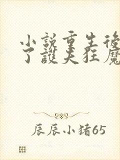 小说重生后我成了护夫狂魔