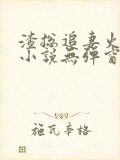 渣总追妻火葬场小说无弹窗