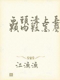 龟头沟上长了一颗肉粒怎么了