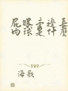 屁眼旁边长了个肉球是什么原因不痛不痒封面