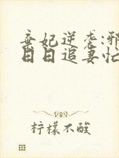 弃妃逆袭:邪王日日追妻忙在线阅读