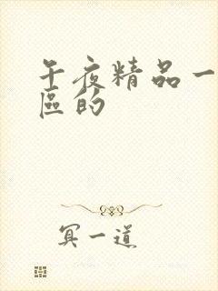 午夜精品一区二区的