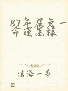 87年属兔一生命运怎样