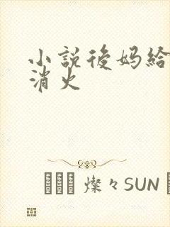 小说后妈给我消消火