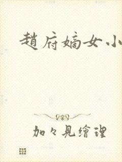 赵府嫡女小说封面