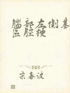 脑部左侧基底节区腔梗