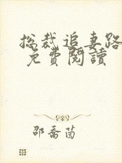 总裁追妻路漫漫 免费阅读