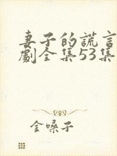 妻子的谎言电视剧全集53集