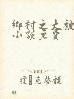 乡村之大被同眠小说免费