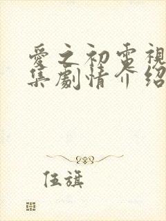 爱之初电视剧全集剧情介绍